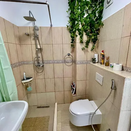 Flex Apartament
