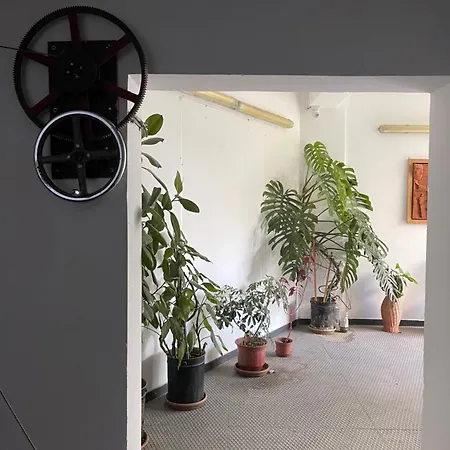 Flex Apartament